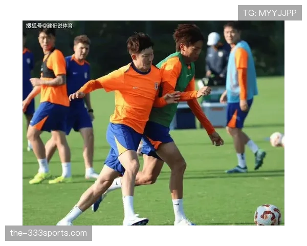 山东泰山豪门地位是否稳固，球队阵容与成绩稳定性面临考验